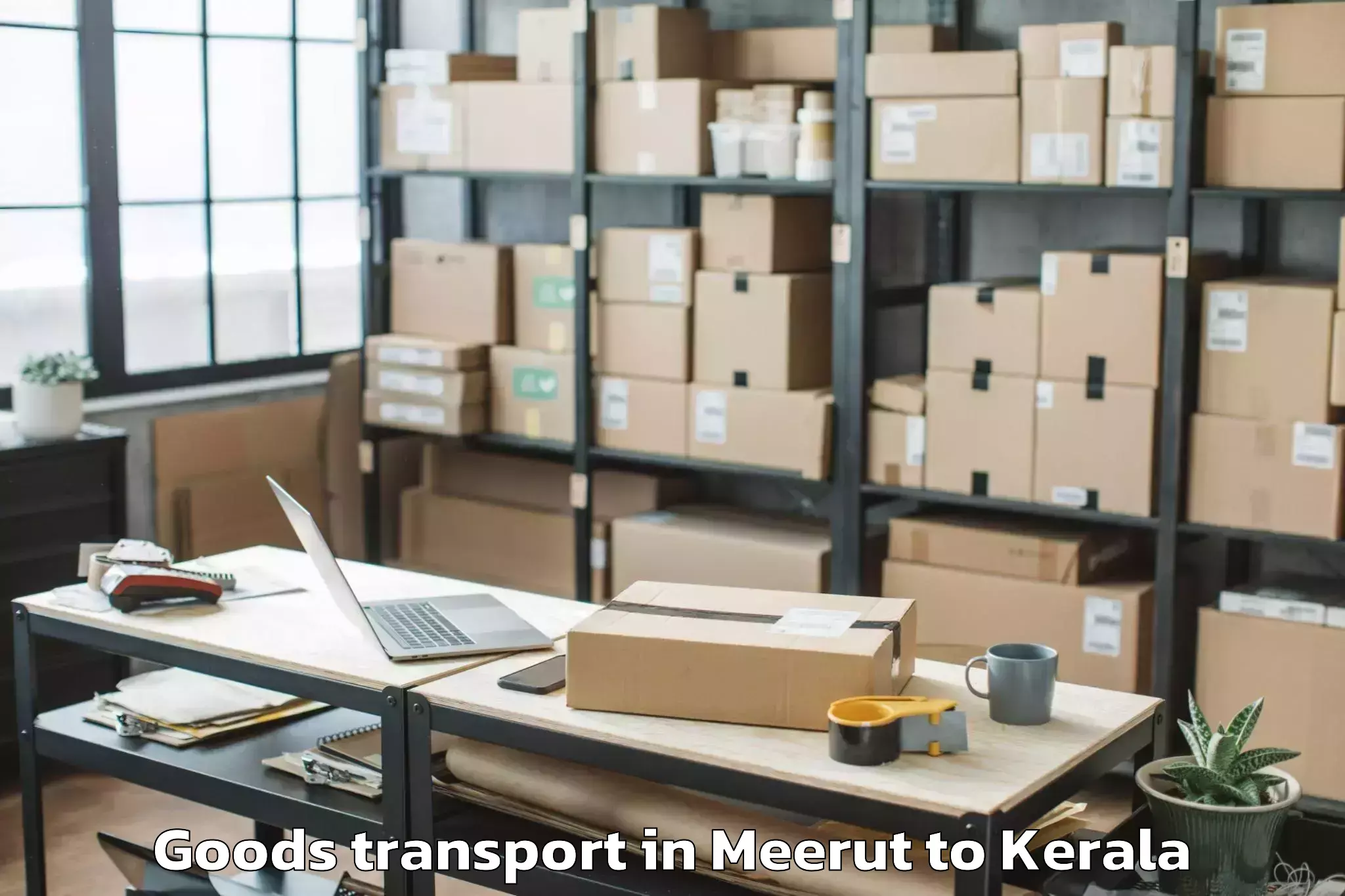 Professional Meerut to Ottapalam Goods Transport